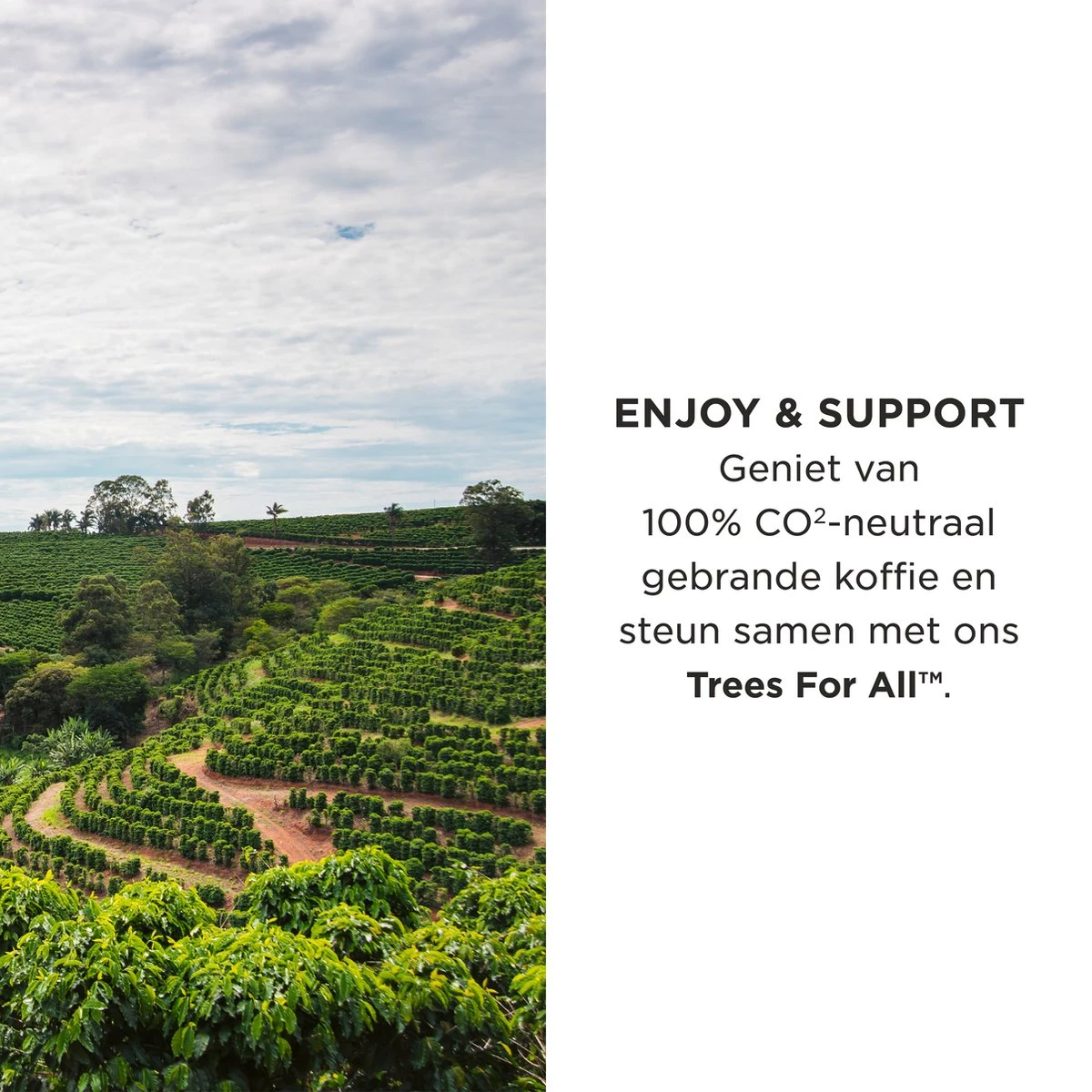 Aroma Club - Koffiebonen 1KG - No. 2 Smooth James - Koffie Intensiteit 3/5 - Espresso & Lungo - Afbeelding 4